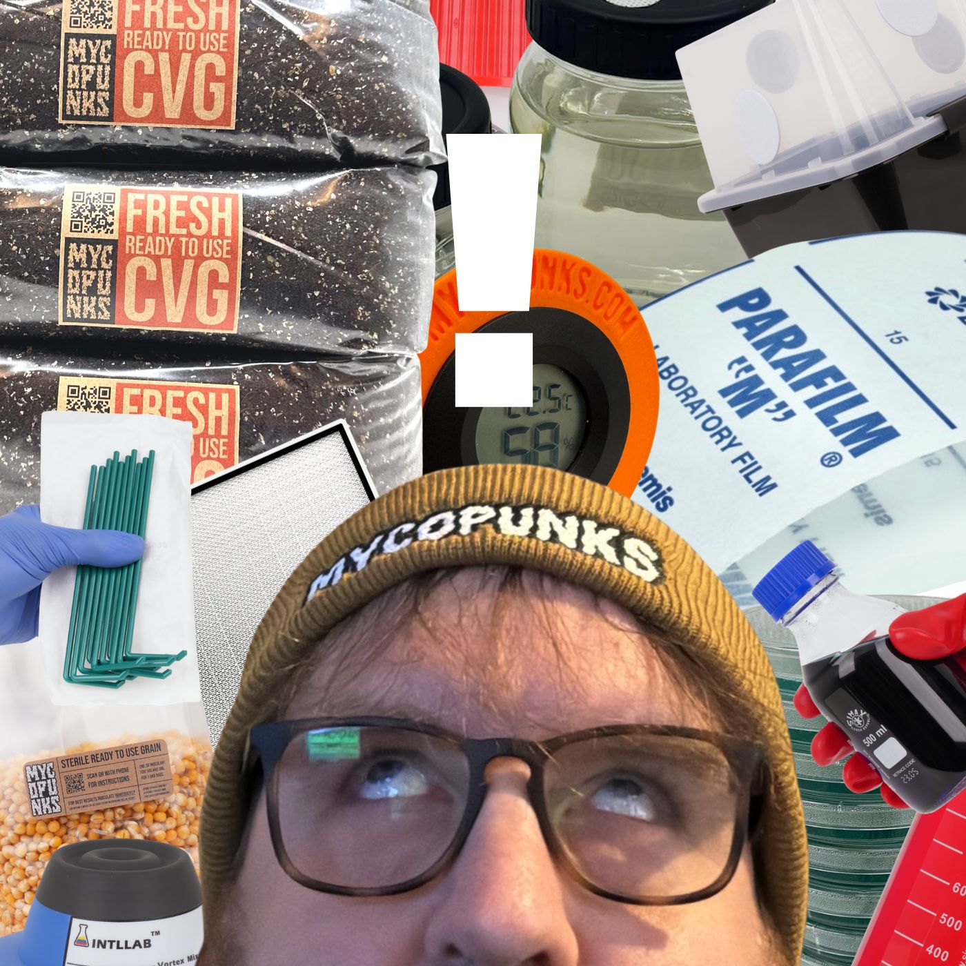 What equipment do I need for growing mushrooms?