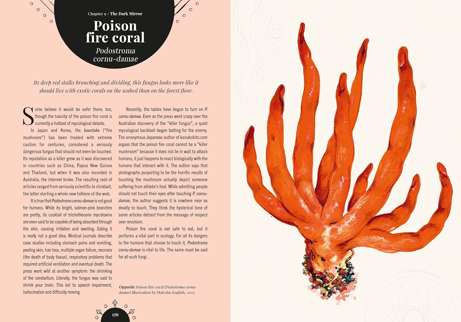 Kew - The Magic of Mushrooms : Fungi in folklore, superstition and traditional medicine