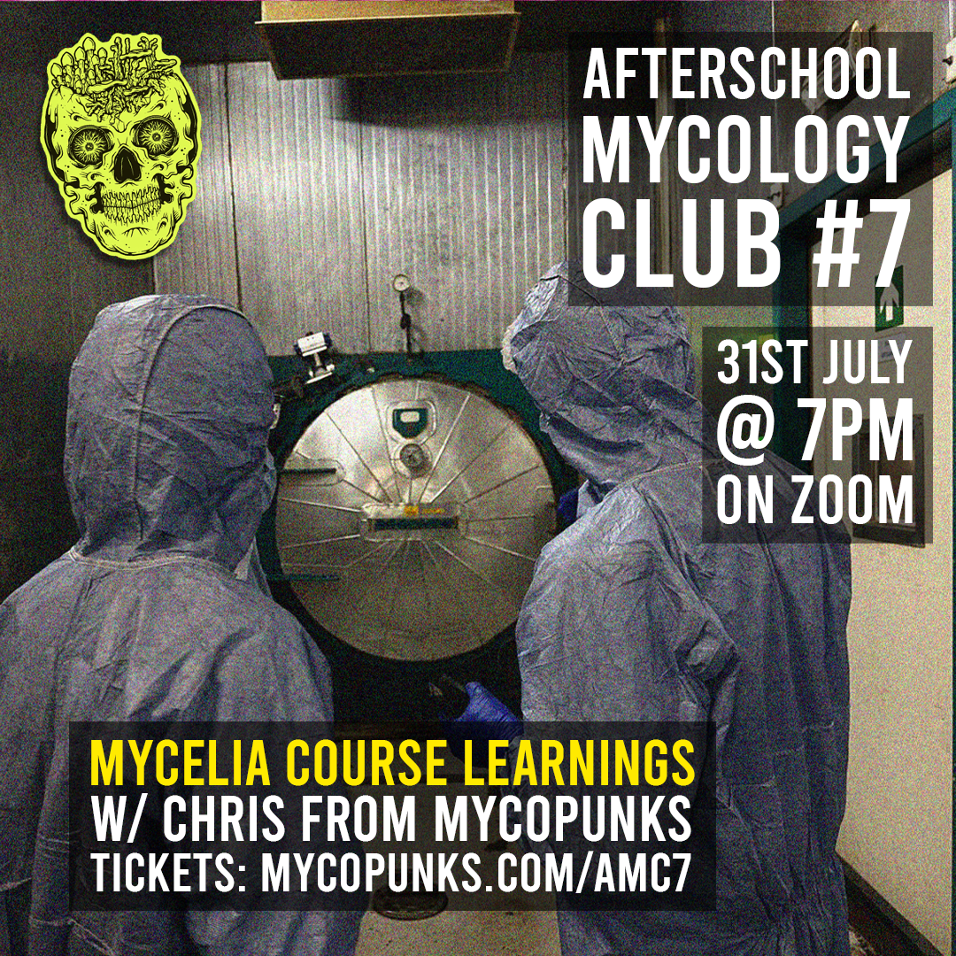 MycoPunks
