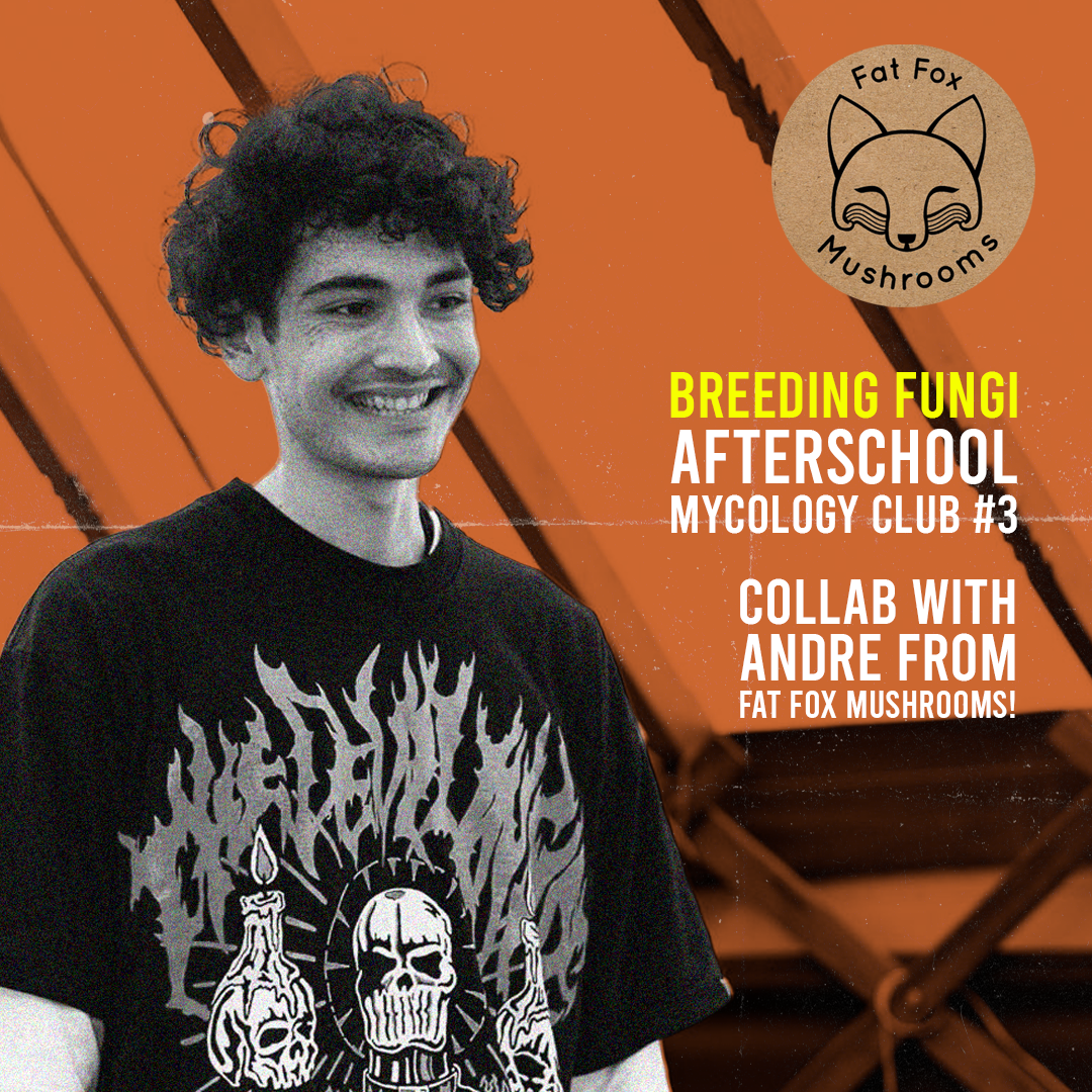 Afterschool Mycology Club #3 Breeding Fungi W/ Andre Sorensen DIGITAL DOWNLOAD