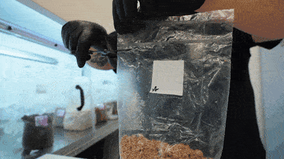 Step 9: Open your grain bag