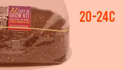 Step 10: Back into incubation