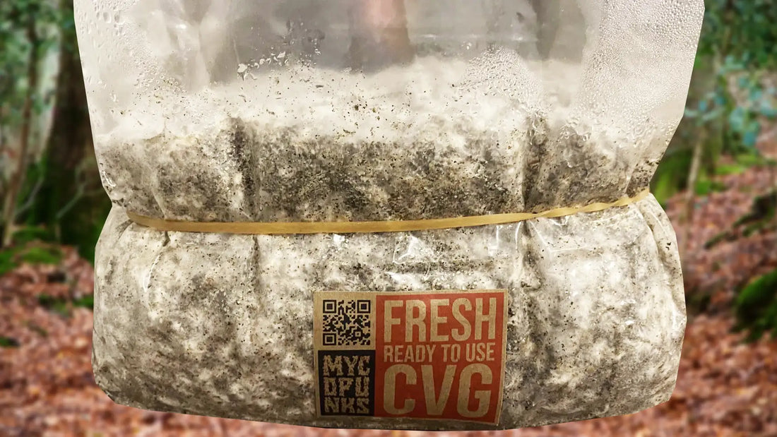 Ready for fruiting!