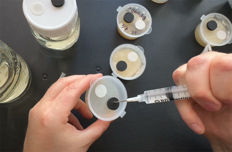 Inoculate