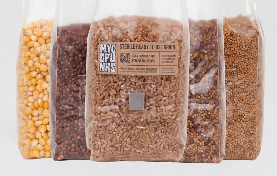 Grain & Substrate