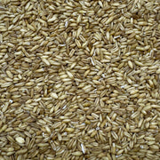 Close-up picture of some groats