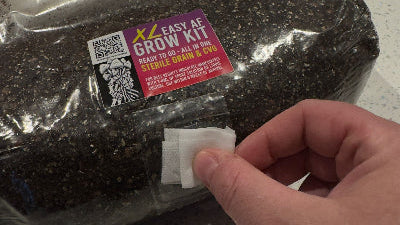 Step 2: Wipe the injection port