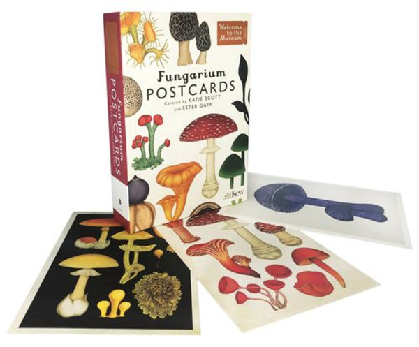 Fungarium-Postkarten