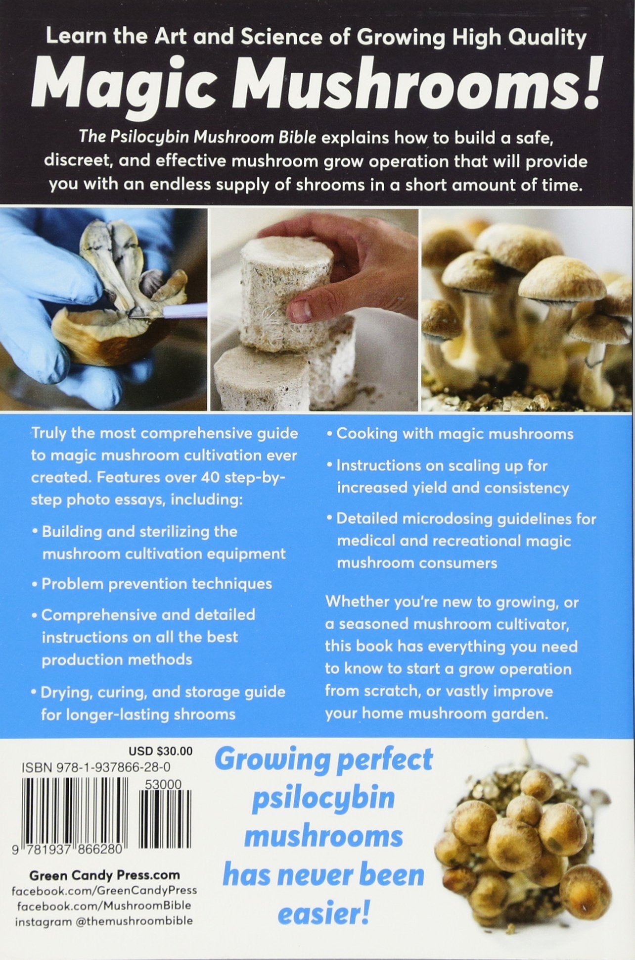 MycoPunks - Psilocybin Mushroom Bible, The: The Definitive Guide to Growing and Using Magic Mushrooms - Book